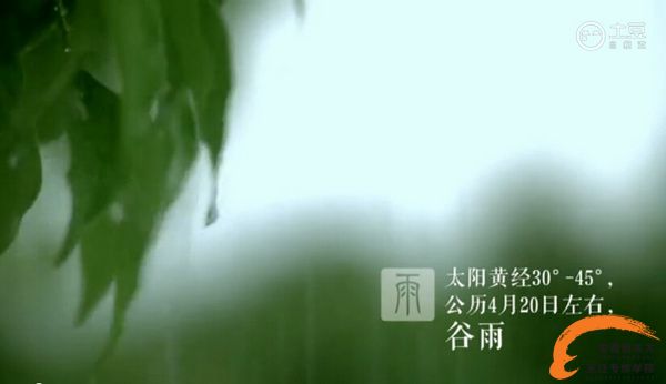 春已远 夏将至 厨师界小鲜肉谷雨美味出动