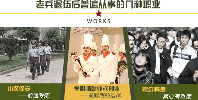 退伍后从事的职业