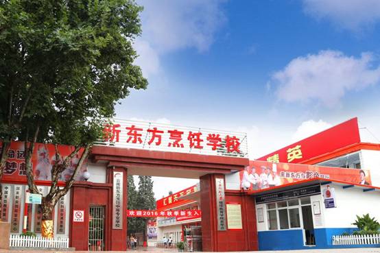 职业教育