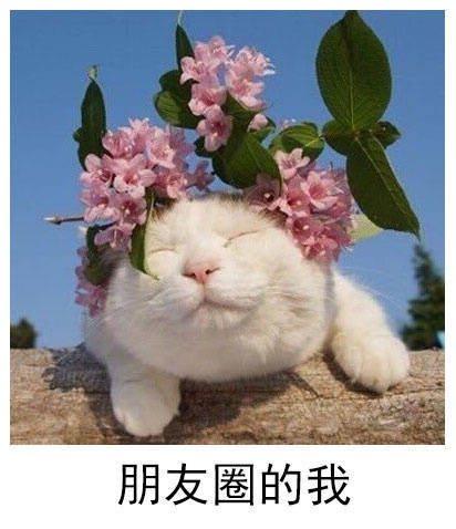 QQ空间集赞有礼品拿？！我和我的小伙伴都惊呆了