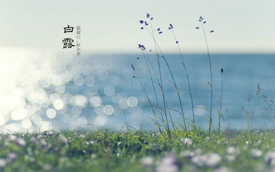 白露至，秋意浓