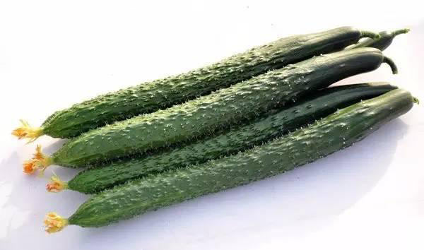 厨师必看
