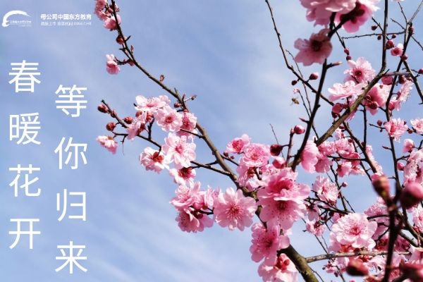 【开学倒计时】春暖花开 等你归来